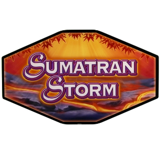 Picture of Topper Plexiglass, Sumatran Storm - IGT Polygon Topper
