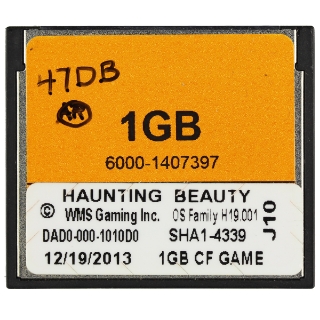 Picture of WMS Software BB3 Haunting Beauty
