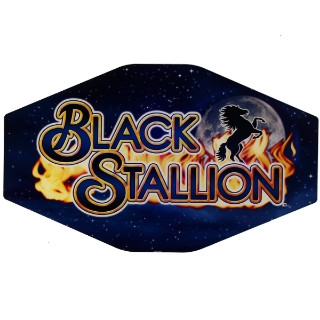 Picture of IGT Topper Plexiglass Black Stallion  IGT Polygon Topper