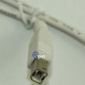 Picture of Harness, USB 2.0 A/B for Brain Box - IGT AVP 3.0 3ft Long, 62301590
