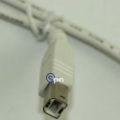 Picture of Harness, USB 2.0 A/B for Brain Box - IGT AVP 3.0 3ft Long